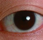 Черные глаза линзы Перспектива контакте